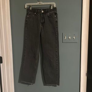 BDG pax jeans size 26” x 25” gray